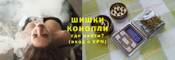стаф Заполярный