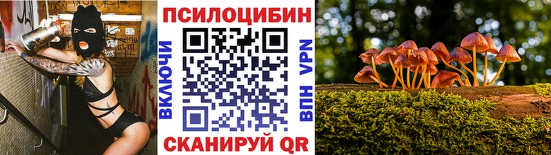 Псилоцибиновые грибы Psilocybe  Кирсанов 