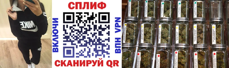 Канабис конопля  купить наркотики сайты  Кирсанов 